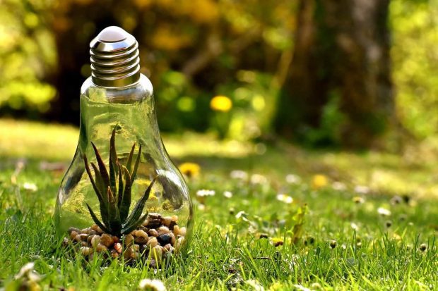 naturaleza en una bombilla