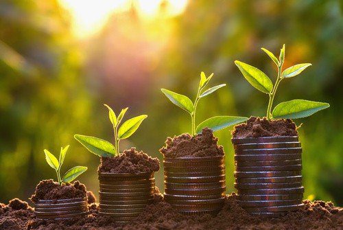 ¿Ya Tienes tu Cheque de la Abundancia? ¿Sabes cuál es la Oración utilizada para Activar el Cheque de la Abundancia? ¡Consíguelos Aquí! 4 Money growing concept,Business success concept, Tree growing on - hermandadblanca.org