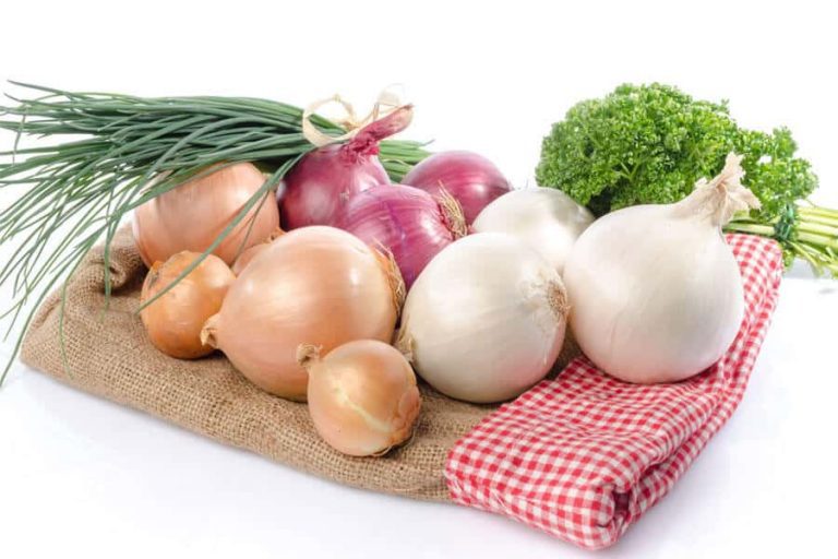 cebollas medicinales la cebolla: ¿conoces su propiedades medicinales y nutricionales?, ¿s ID151529 - hermandadblanca.org