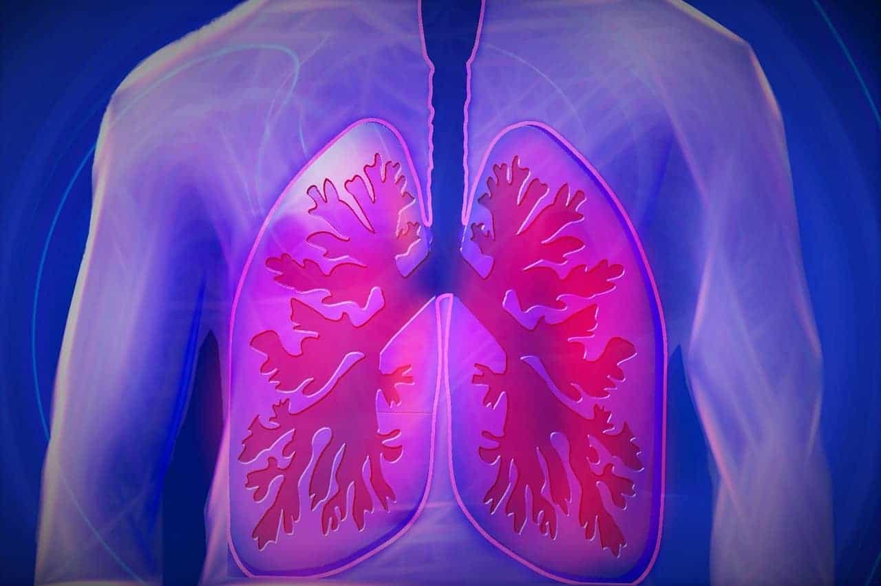 medicina griega los pulmones