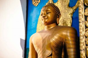 Mensaje del Señor Buda: los Cuatro sistemas corporales