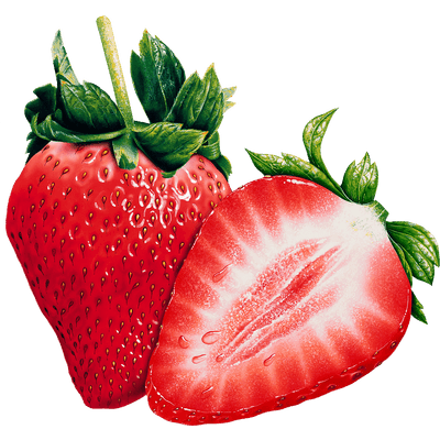 fresas para mantener el cuerpo sano ¿por qué las plantas son esenciales y tan indispensables para recupe ID154323 - hermandadblanca.org