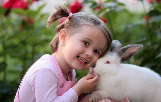 girl rabbit friendship love 160933 arcángel gabriel: llegó el momento de que el amor mande ID153659 - hermandadblanca.org