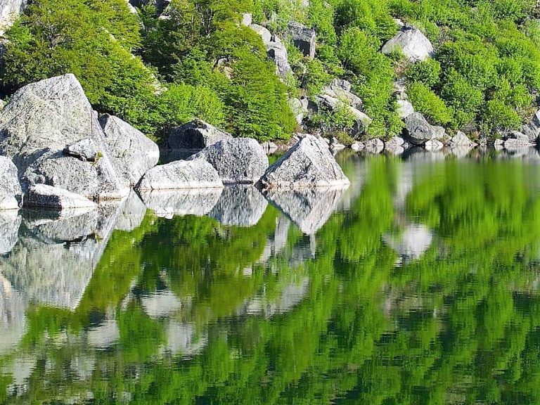 Los Nuevos Principios de La Vida - hermandadblanca.org