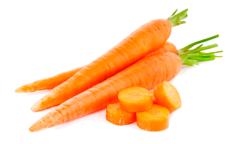 zanahorias para mantener el cuerpo sano ¿por qué las plantas son esenciales y tan indispensables para recupe ID154323 - hermandadblanca.org