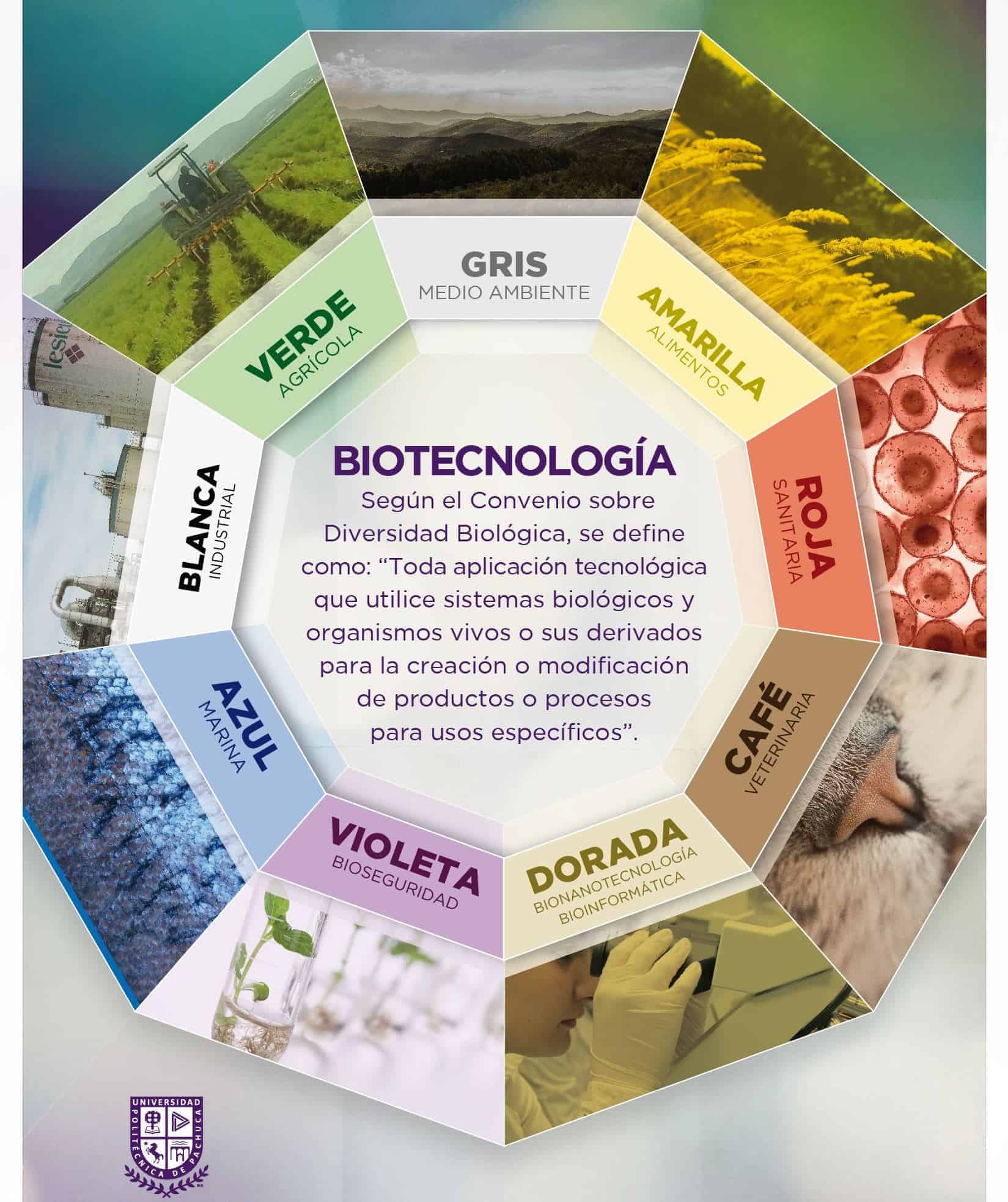 Cómo Puede Contribuir La Biotecnología A La Sostenibilidad