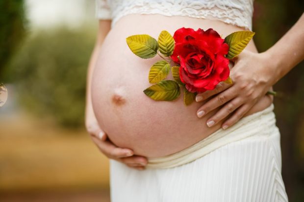 duelo perinatal parte 2 mujer embaraazada con rosa duelo perinatal – parte 2 ID160389 - hermandadblanca.org
