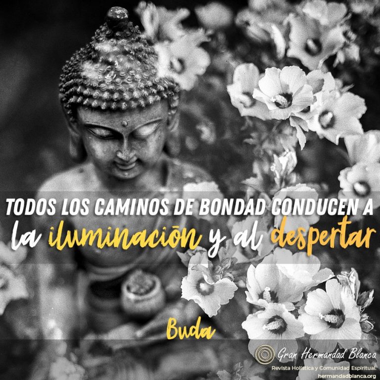 43 gracias 2018 deseos 2019 familia hermandadblanca ID168780 - hermandadblanca.org