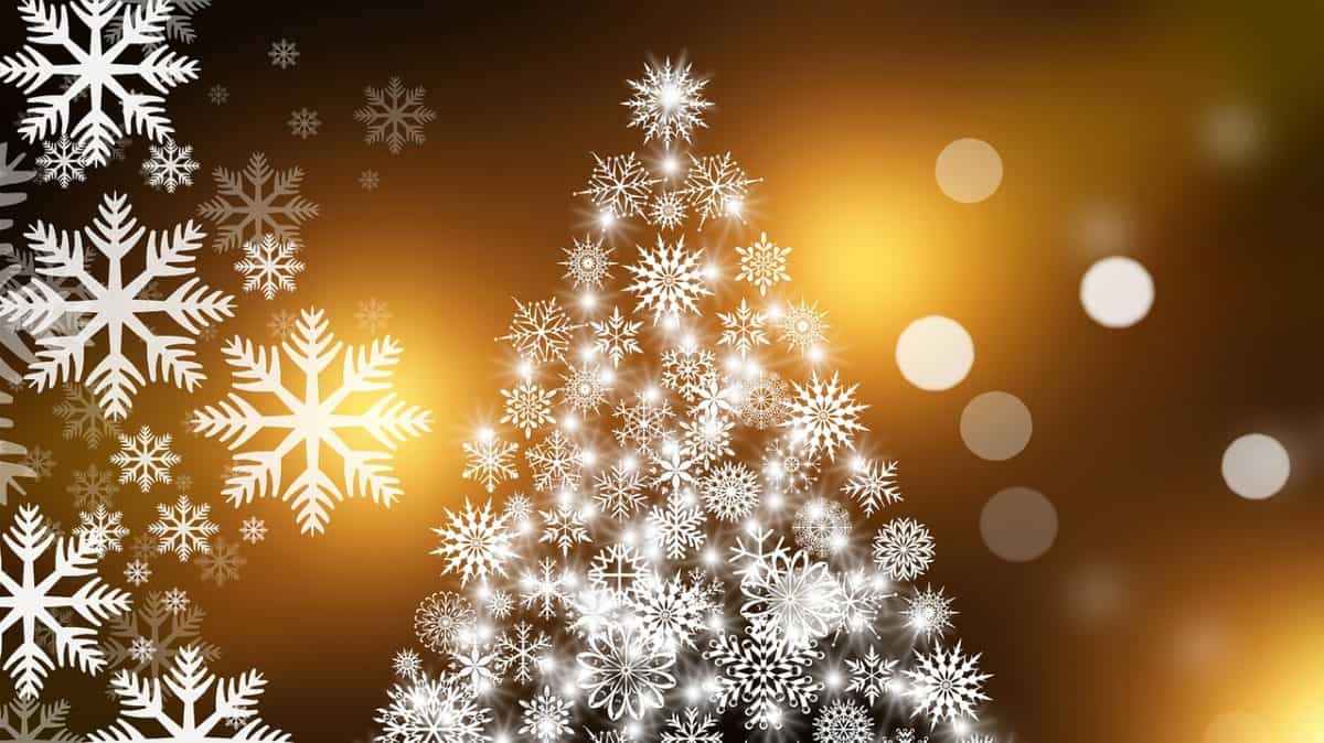 Ritual de Ángeles para realizar durante la Navidad, ¡recibirás bendición, prosperidad y abundancia! 4 ritual de angeles para realizar durante la navidad lograras bendicion prosperidad bienestar abundancia y exito ritual de Ángeles para realizar durante la navidad, ¡lograrás bendi ID166569 - hermandadblanca.org