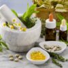 12 plantas medicinales que no pueden faltar en tu casa son extraordinarias 12 plantas medicinales que no pueden faltar en tu casa, ¡son extraord ID174283 - hermandadblanca.org