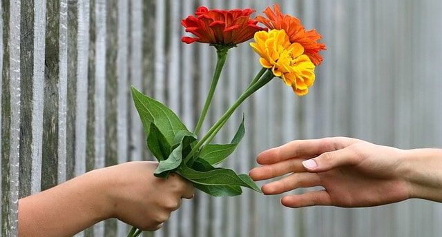 Sabes ¿qué es y cómo cultivar la Espiritualidad?, ¡5 formas para crecer tu desarrollo espiritual! 3 dar espiritualidad sabes ¿qué es y cómo cultivar la espiritualidad?, ¡cultívala a pa ID203069 - hermandadblanca.org