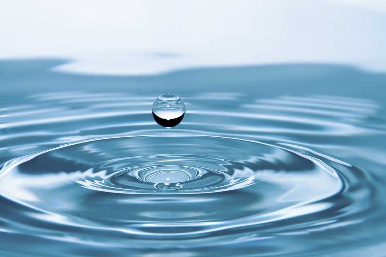 El Dios de los Océanos: "Debemos cuidar el agua", vía Ann Dahlberg 2 cuidar el agua