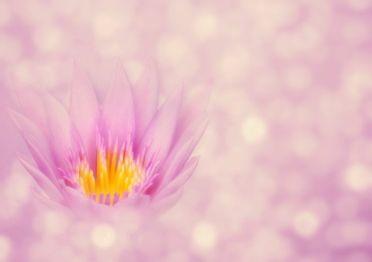 meditacion soul sync 4 ¿conoces la maravillosa meditación soul sync? ID206985 - hermandadblanca.org