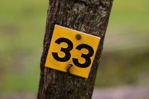 ¿Qué significa ver el número 33?, ¡quedarás sorprendido!