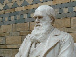 Reencarnación en la historia europea 3: Darwin 2 darwin natural history museum evolution natural reencarnacion en la historia europea 3 darwin i212391