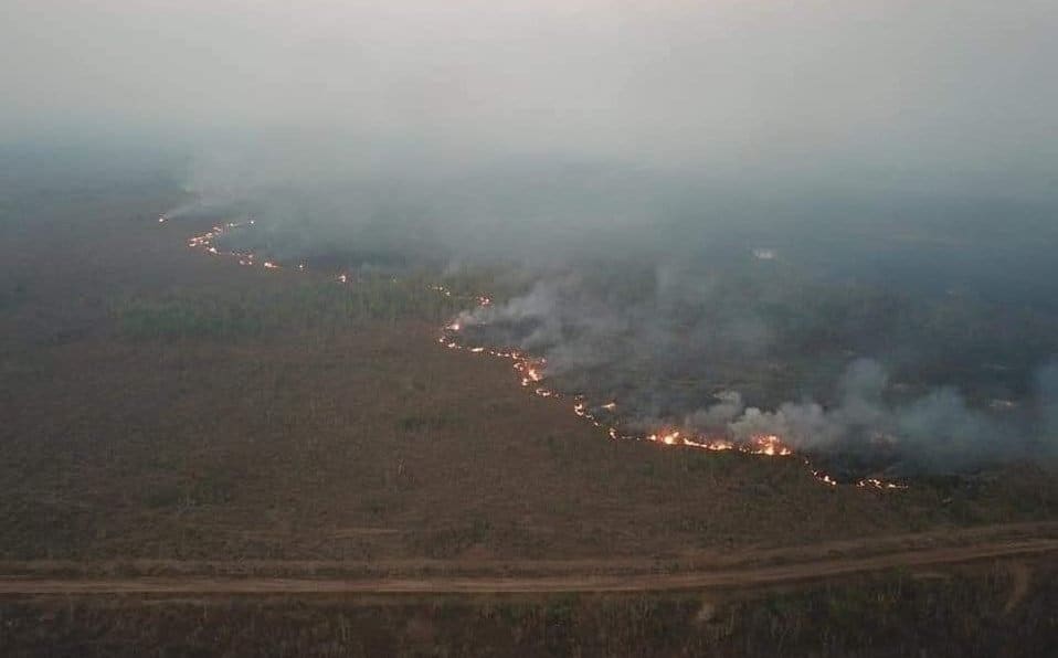 incendios en la selva amazonica mensaje para los trabajadores de la luz incendios en la selva amazon i212463
