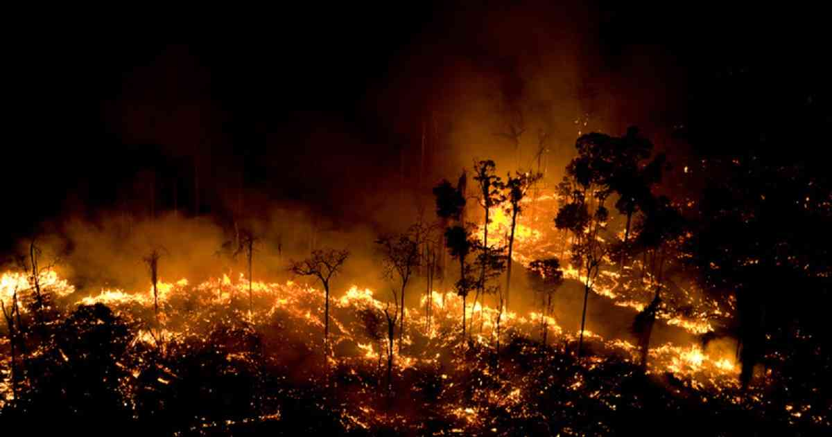 incendios en la selva amazonica ver mensaje para los trabajadores de la luz incendios en la selva amazon i212463