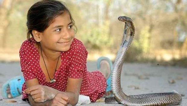 sonar con serpientes en la religion hindu soar con serpientes que significa es asombroso lo que sabra i212137
