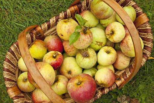 Filosofía de la Libertad (6) Pesimismo y optimismo 3 apples 1164954 340 filosofia de la libertad 6 pesimismo y optimismo i214107
