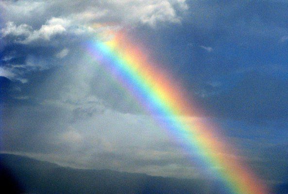 7 rays los 7 rayos con cual de ellos te identificas mas i215242