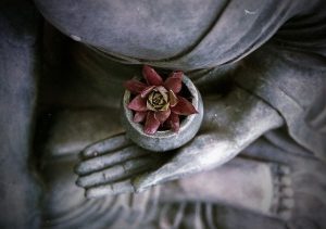 buddha 1277463 640 la frecuencia 144 conoce aqui su significado i215737