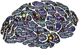 imagen de john hain en pixabay que le pasa al cerebro cuando meditamos la ciencia ofrece 3 benefi i215649