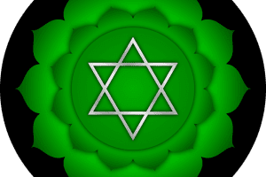 Significado del Color Verde, ¿qué sabes del color del Chakra del Corazón?