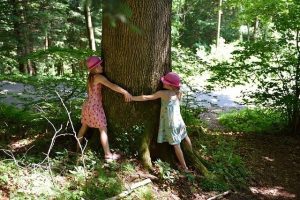 Abrazar árboles, un poder sanador a nuestro alcance