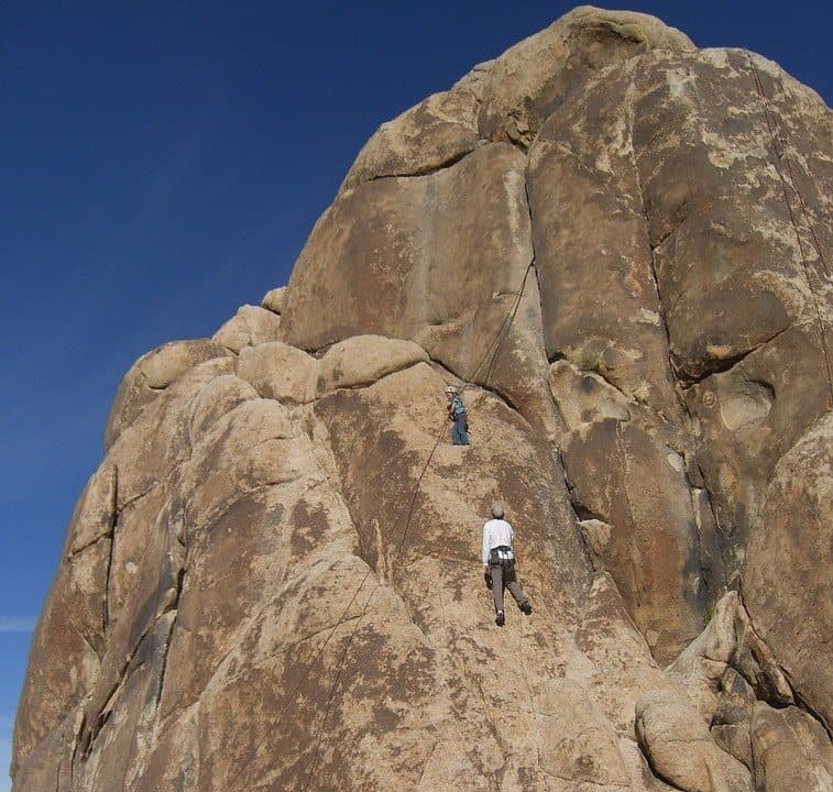 Motivación 1: Yo también lo puedo hacer 1 joshua tree 5104 960 720 motivacion 1 yo tambien lo puedo hacer i218099