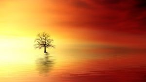 La Presencia pura y la profundización de las experiencias con el Alma Sagrada. 2 sunset 3156440 640 presencia pura y profundizacion de nuestras experiencias con el alma i217053