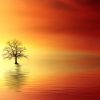 La Presencia pura y la profundización de las experiencias con el Alma Sagrada. 7 sunset 3156440 640 presencia pura y profundizacion de nuestras experiencias con el alma i217053