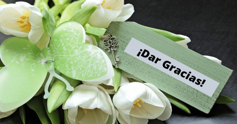 dar gracias por que dar gracias puede hacerte un ser mas feliz y prospero lo i219199