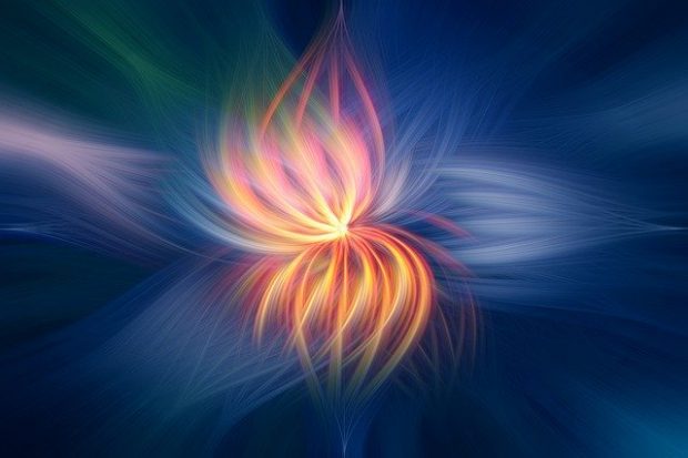 Mensajes diarios del Arcángel Gabriel en CONVID-19. A través de Shelley Young 1 flower 2536651 640 las semillas atomicas de la memoria divina mensaje del arcangel mig i218558