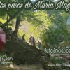 "Tras los pasos de María Magdalena", Viaja con Tierra Sagrada a Francia, Agosto 2020 20 imagen1 tras los pasos de maria magdalena viaja con tierrasagrada a francia ag i218601