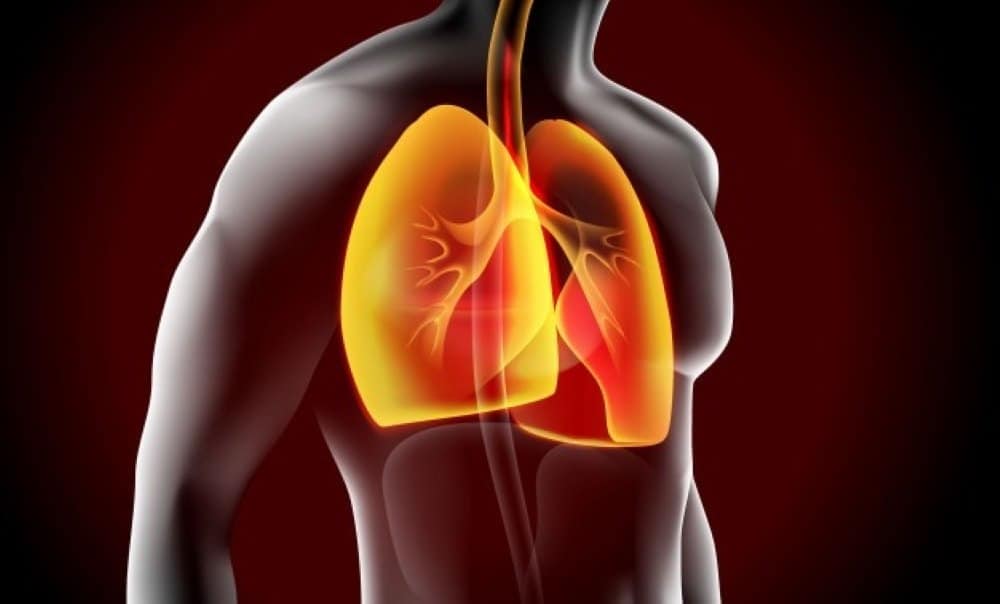 pulmones habitos de vida aprender a respirar i219055