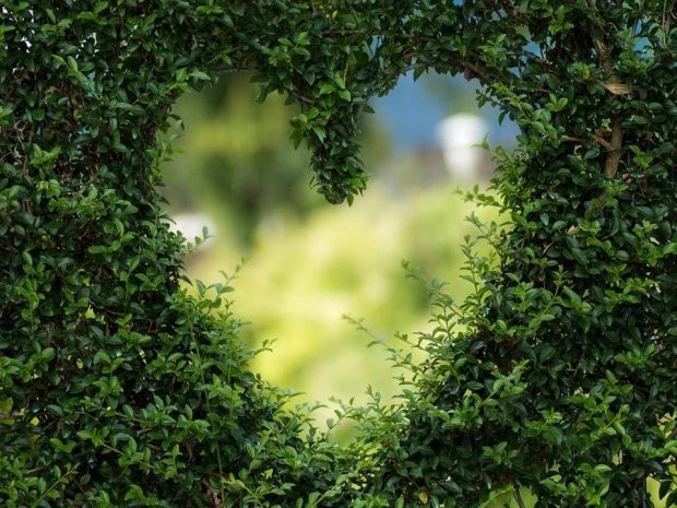 El amor es contagioso. Por Ann Albers 1 amor metafisica 1 como entiende la metafisica que es el amor i219527
