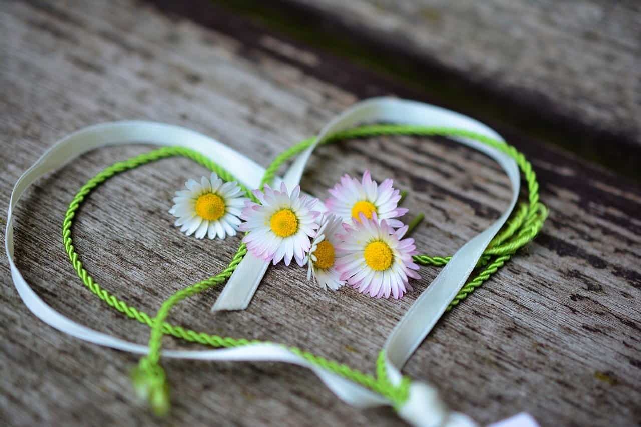 El amor es contagioso. Por Ann Albers 33 daisy 3392654 1280 madre maria la guia de la madre i221329