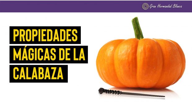 Propiedades mágicas de la calabaza propiedades magicas de la calabaza i221081