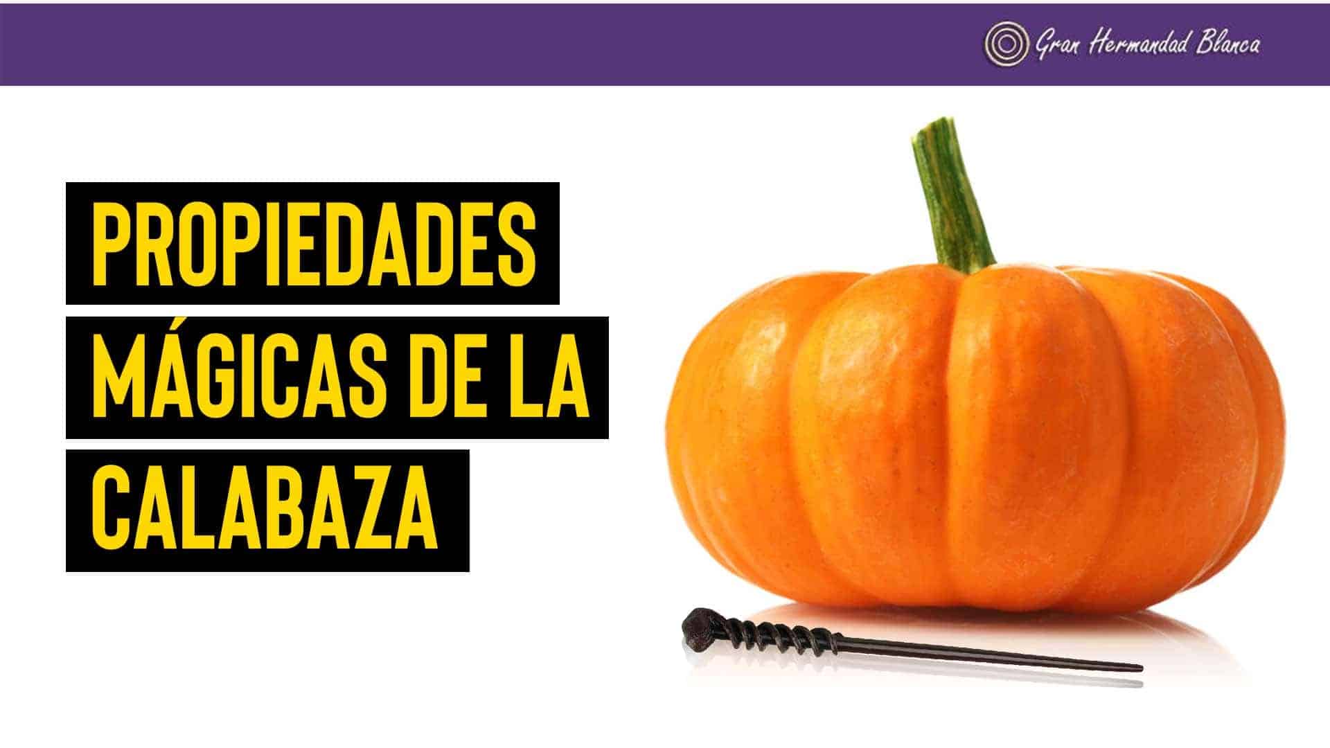 Propiedades mágicas de la calabaza propiedades magicas de la calabaza i221081