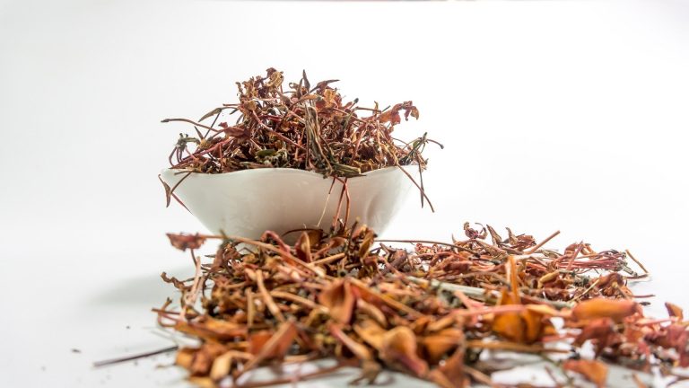 medicina ayurveda para prevenir coronavirus consejos de estimulacion inmunologica medicina ayurveda para proteg i222607