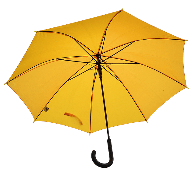 pesimismo y paraguas