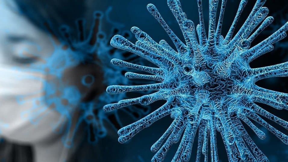 protegerse del coronavirus en estos tiempos estimulacion inmunologica medicina ayurveda para protegerse del cor i222607