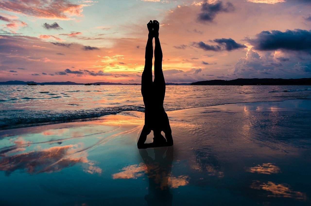 yoga stand in hands silhouette 2149407 1280 todo es amor o la falta de el ivo de vega a traves de sharon stewart i220885