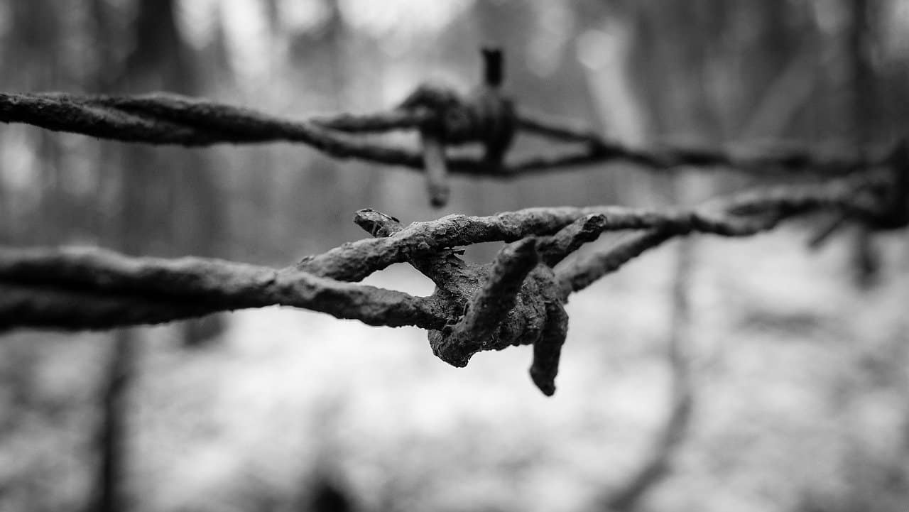 barbed wire 946199 1280 bendice los obstaculos concentrate en tu alegria comandante ashia i223109