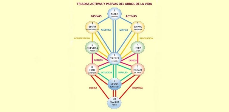 hermandad blanca reflexiones arbol vida 3 juan sequera 01 reflexiones el arbol de la vida parte 3 i223292