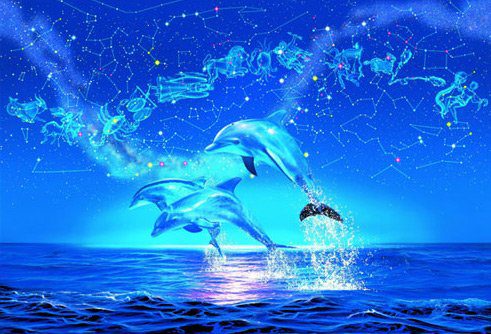 dolphins rayo azul definitiva actualizada con aurelia l jones i226728