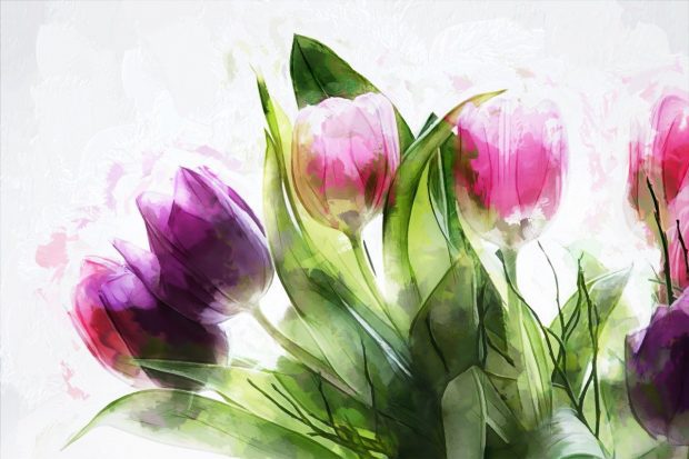 tulips 4330129 1280 mensaje de los angeles via ann albers 26 09 2020 i227882