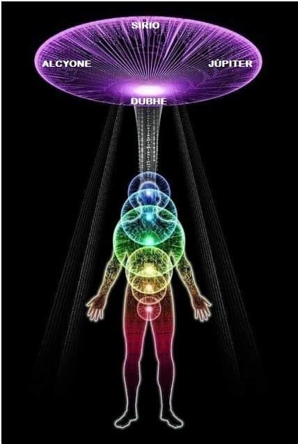 coronario cardiaco ingenieria cognitiva disenando a un ser humano i228483