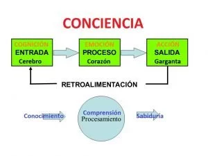 La tabla cíclica de las emociones interpersonales 6 procesamiento datos informacion