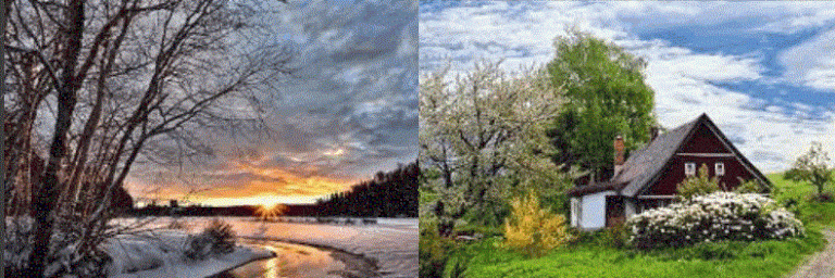 ezgif com gif maker el invierno dio paso a la primavera i235931